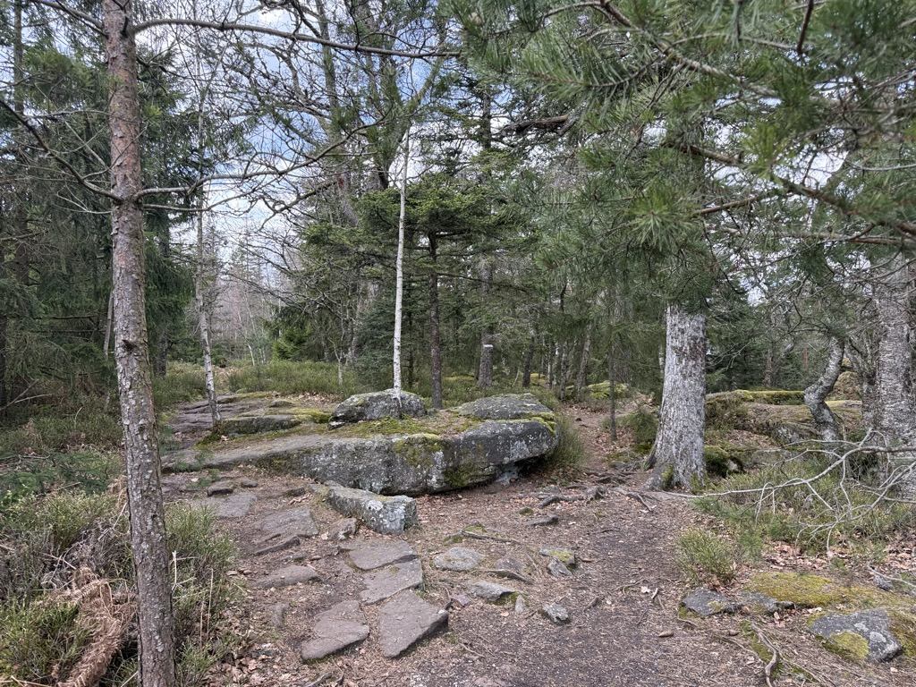 Photo №2 of Taennchel