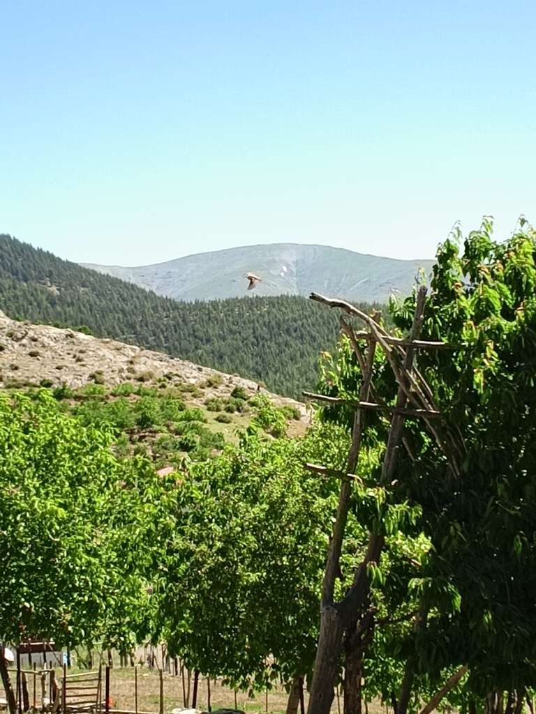 Photo №2 of Tahtafirlatan Dağı
