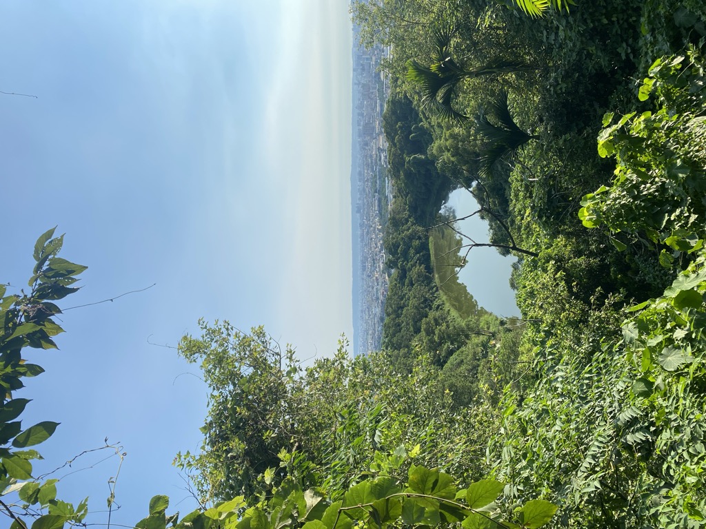 Photo №2 of Táiwān Tán