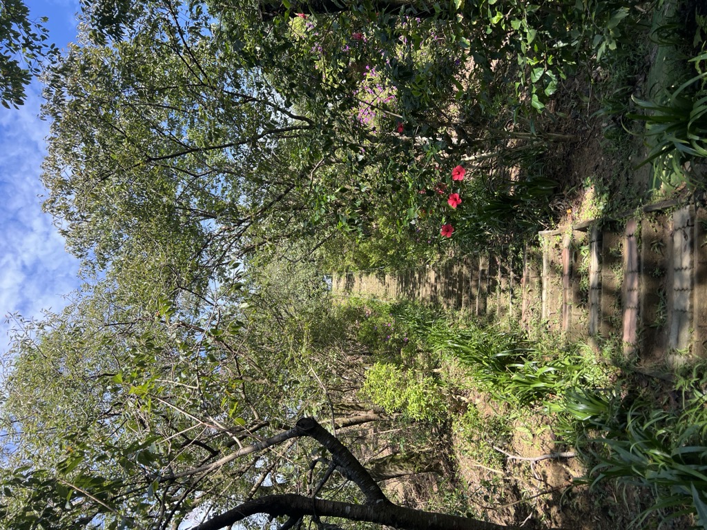 Photo №6 of Taijiling