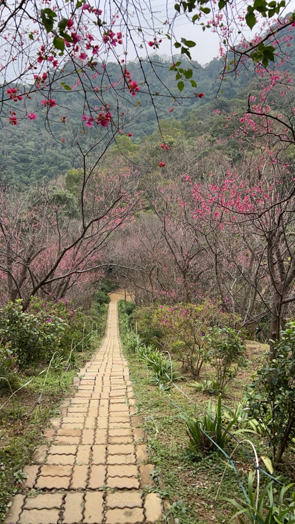 Photo №5 of Taijiling