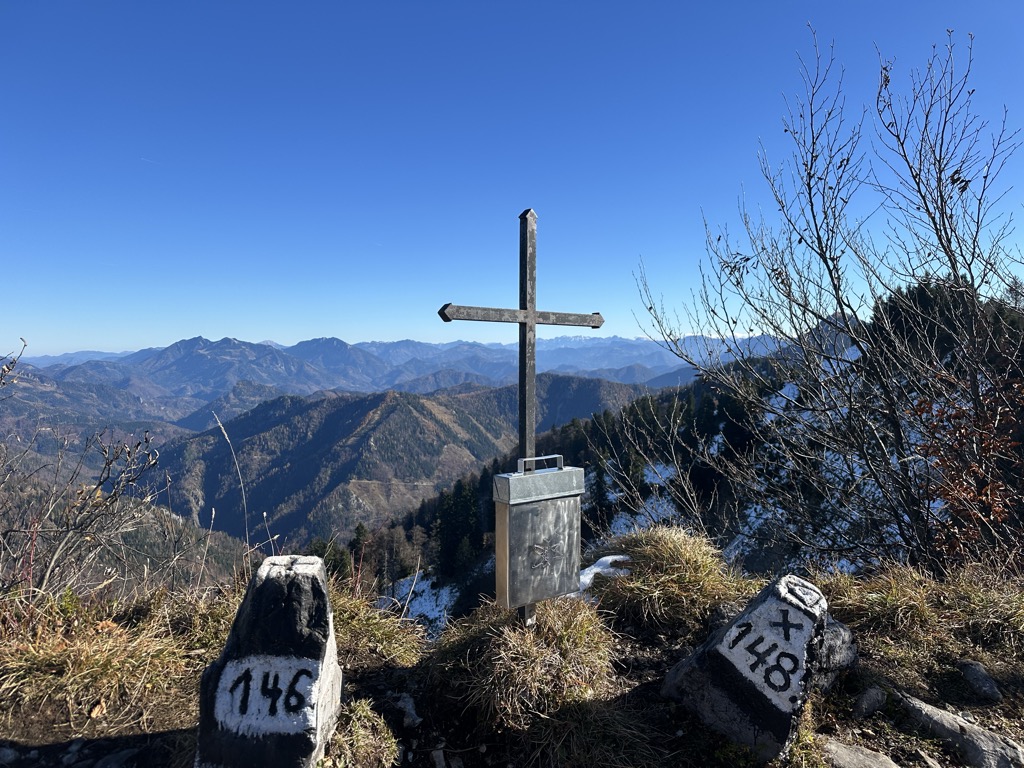 Photo №1 of Tannschwärze