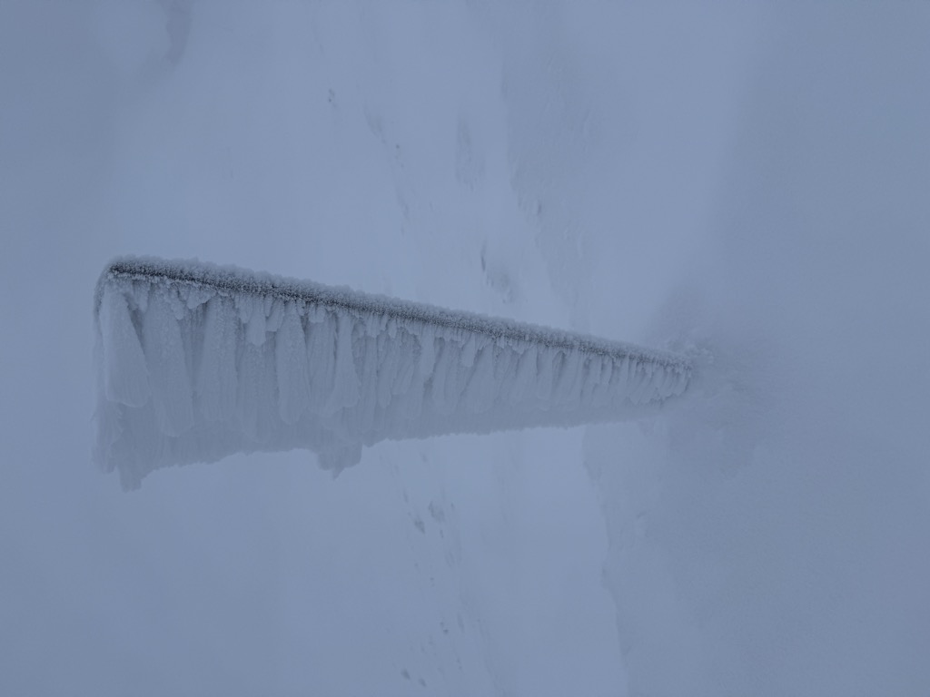 tanzbodenhutte-4