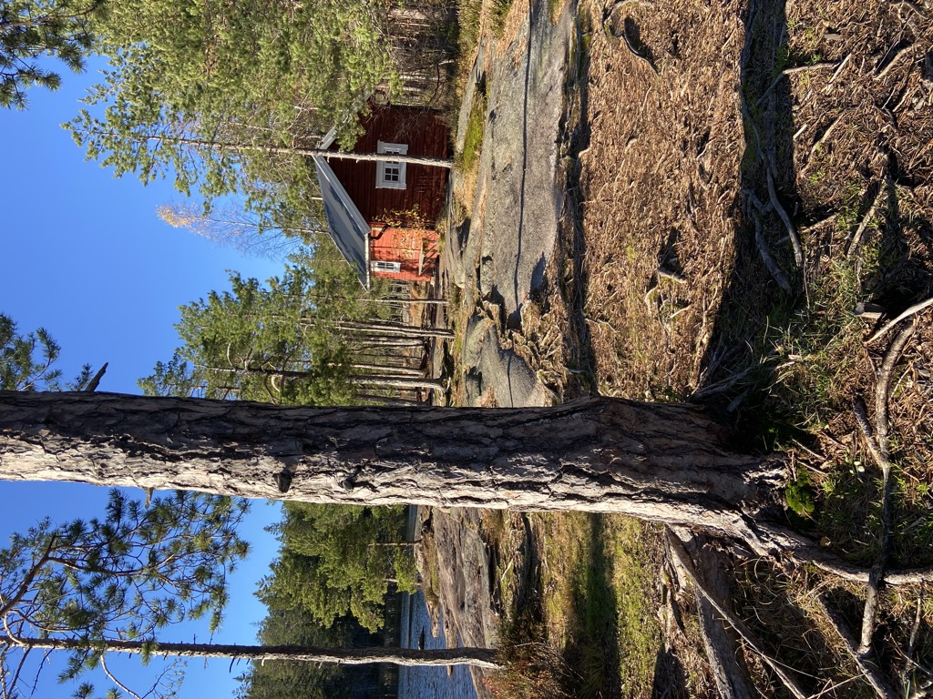 tarnattstugan