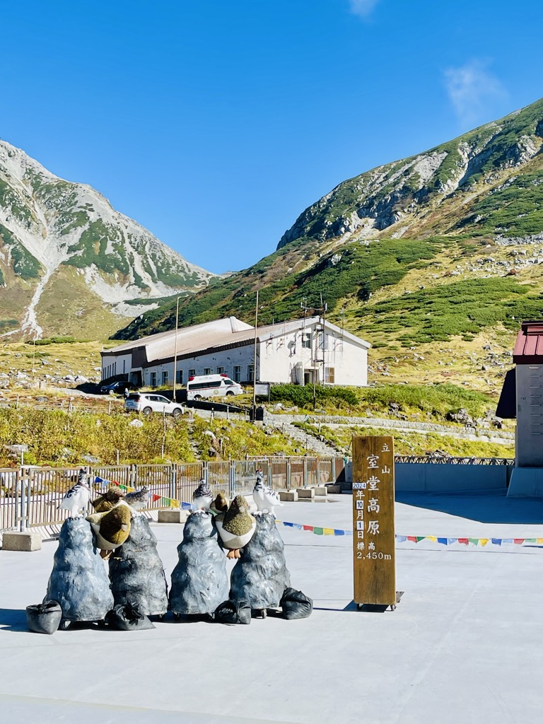 Photo №2 of Tateyama Center