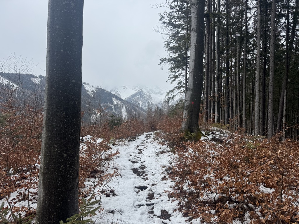 Photo №2 of Tauchend