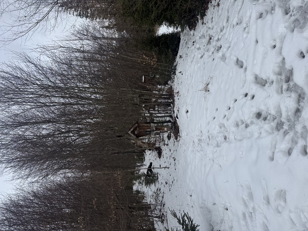 Photo №2 of Tauchendsattel
