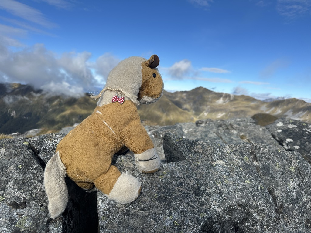 Photo №1 of Ō-te-horua-a-Te-Puhituia / Mount Luxmore