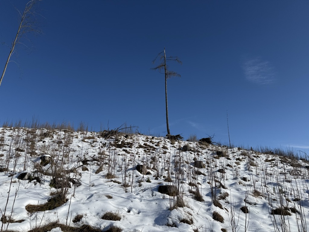 Photo №2 of Teichenkopf