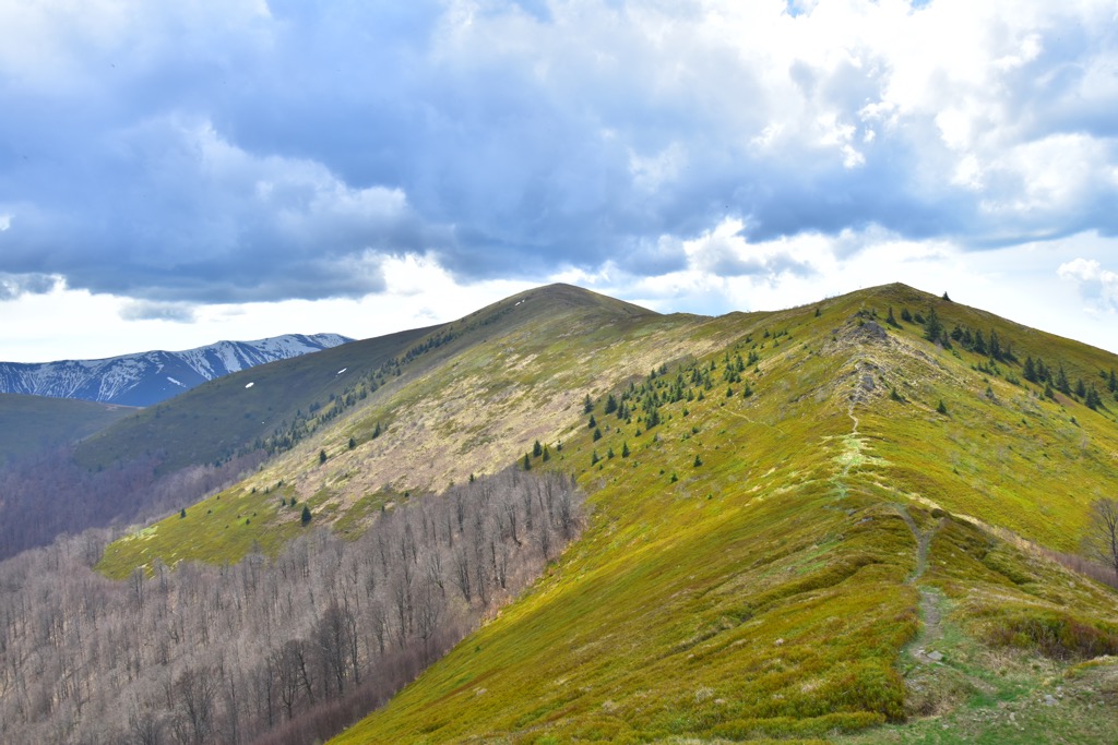 Photo №2 of Temnatyk