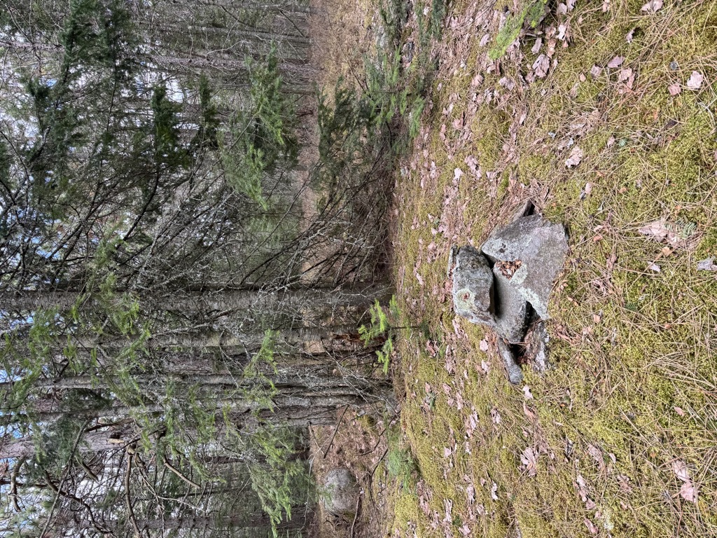 Photo №2 of Terry Mountain