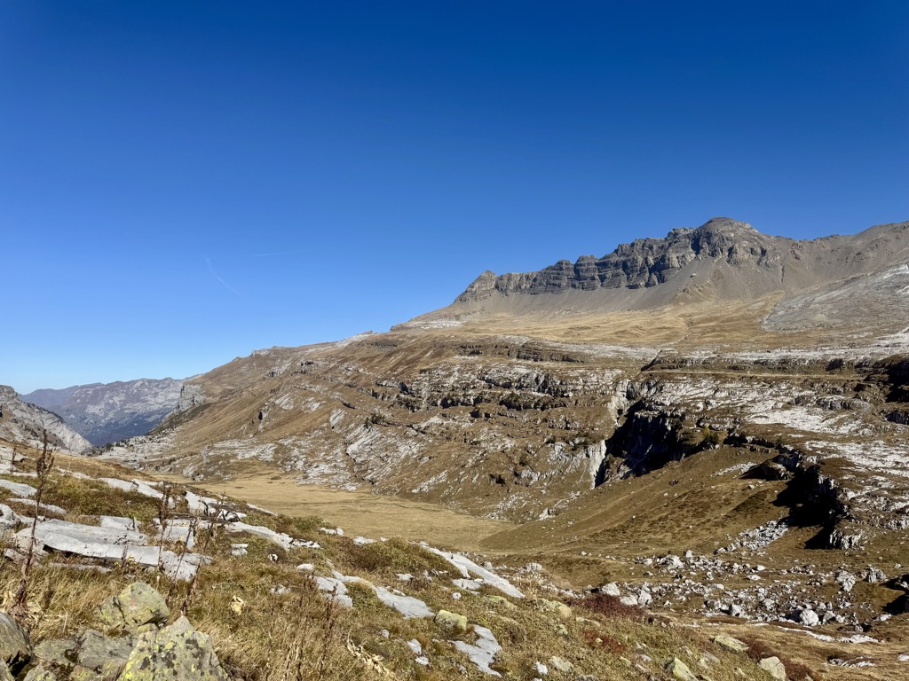 Photo №1 of Tête à l'Âne