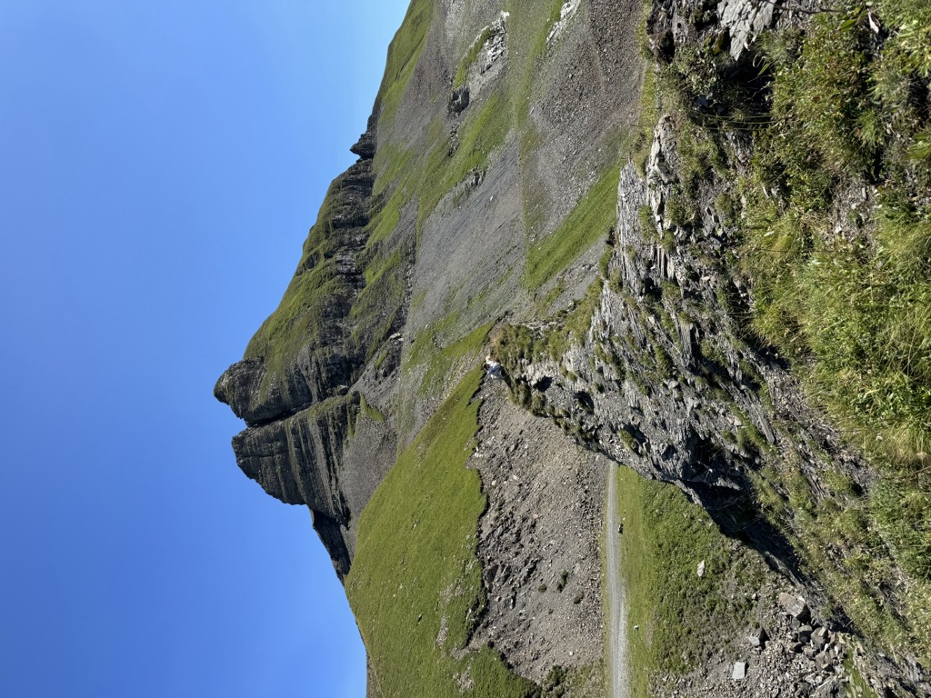 Photo №2 of Tête Pelouse