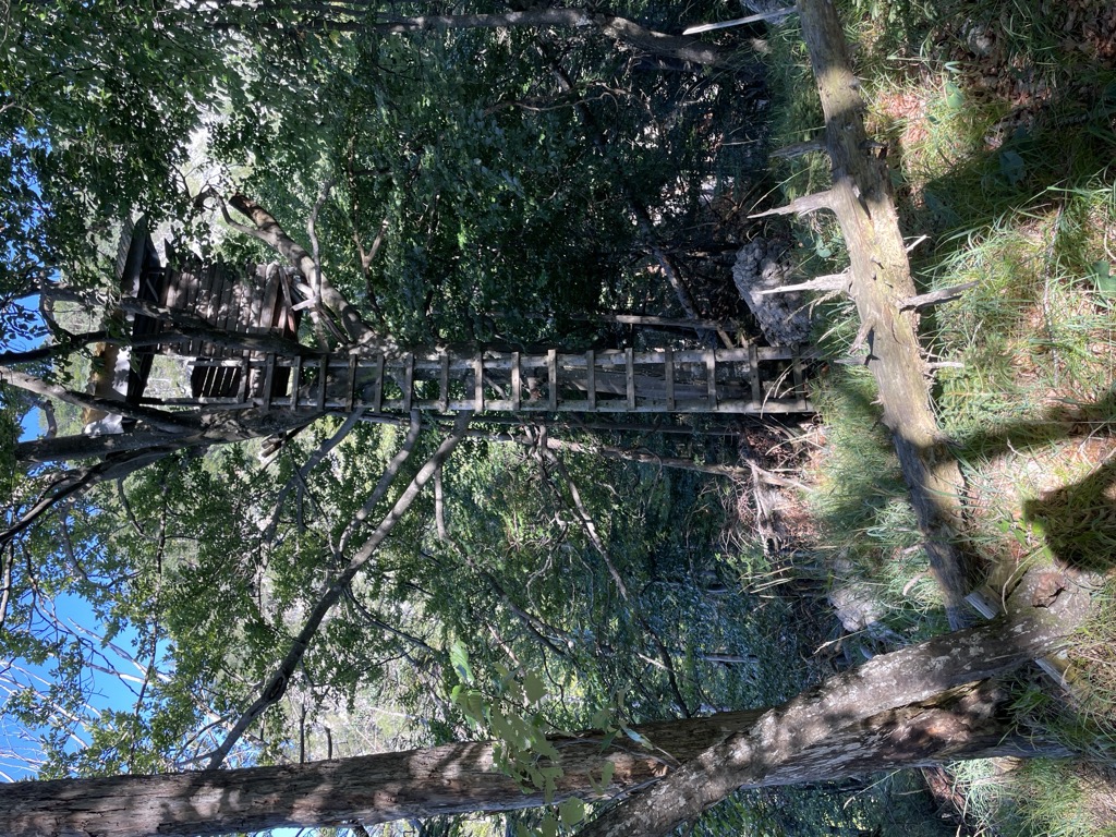 Photo №2 of Teufelskanzel