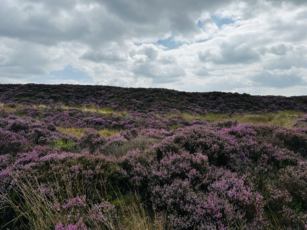 Photo №1 of The Blorenge