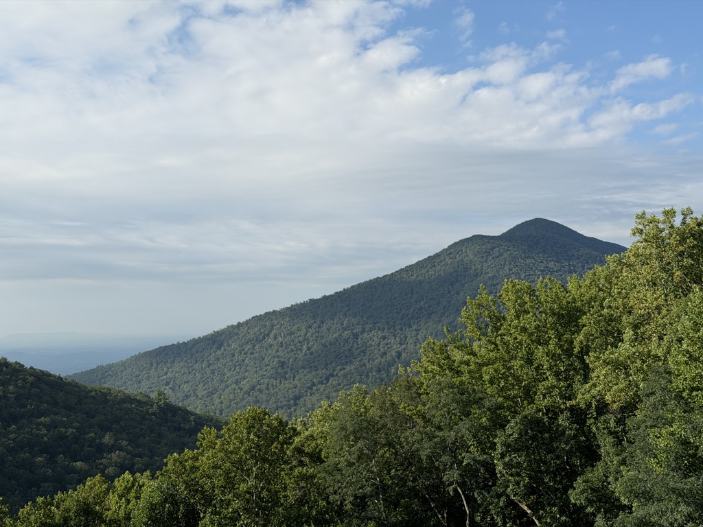 The Pinnacle