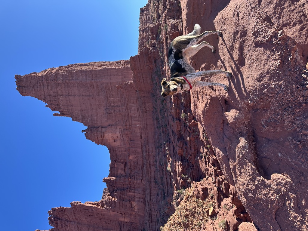 Photo №2 of The Titan