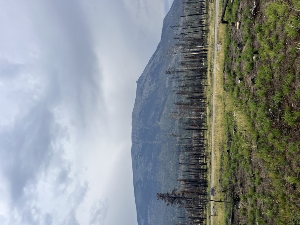 Photo №1 of The Whistlers