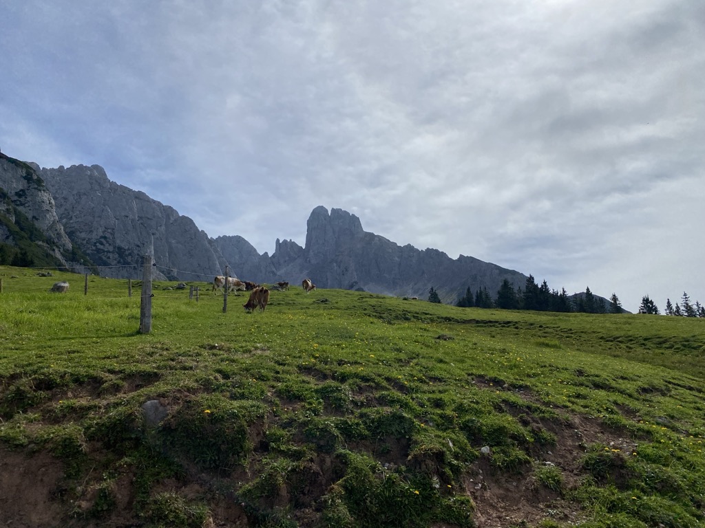 theodor-korner-hutte