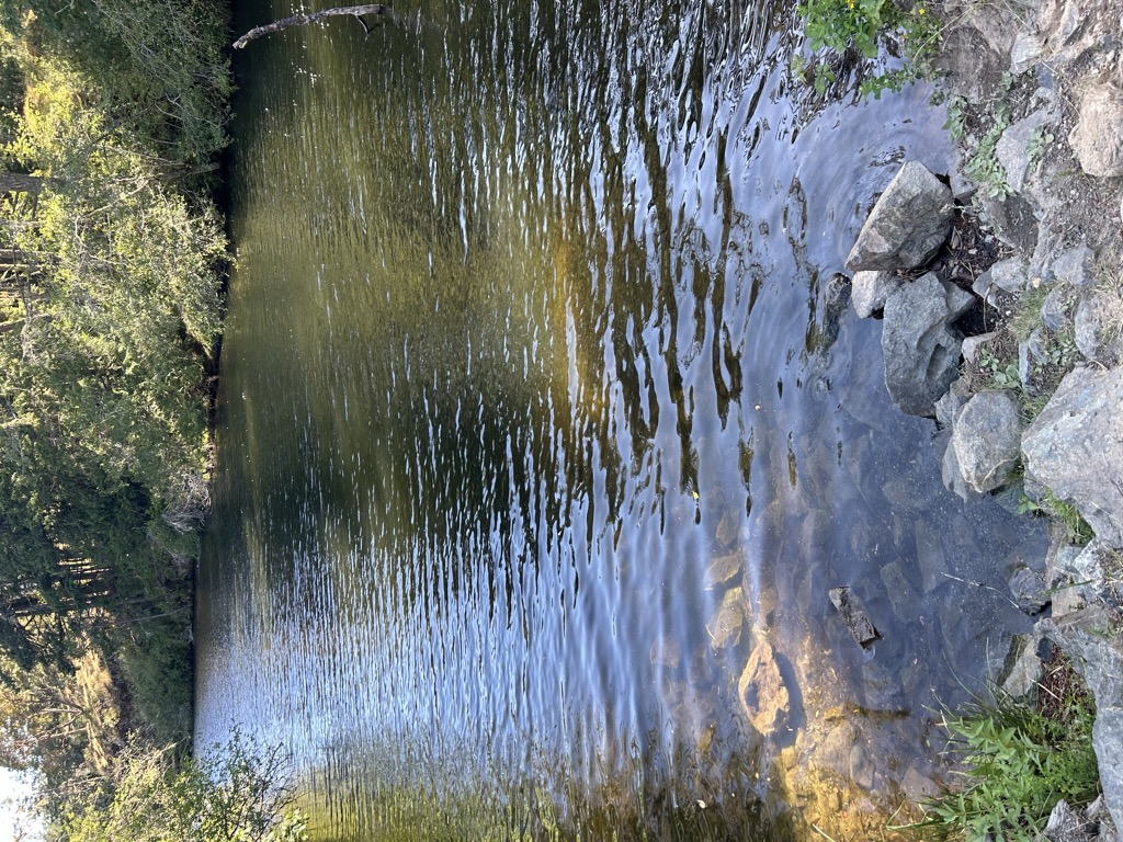 Photo №2 of Thetis Lake