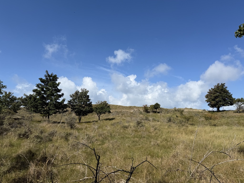 Photo №1 of Theunessehil