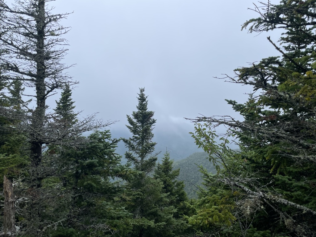 Photo №2 of Third Brother