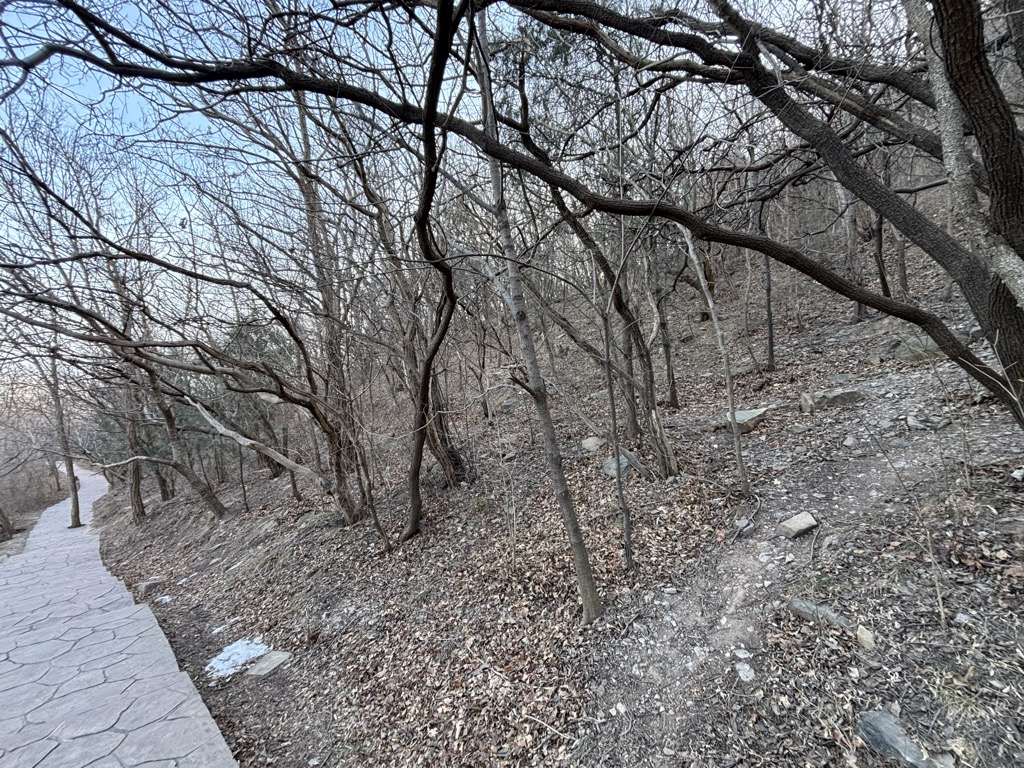 Photo №2 of Tiger Mouth