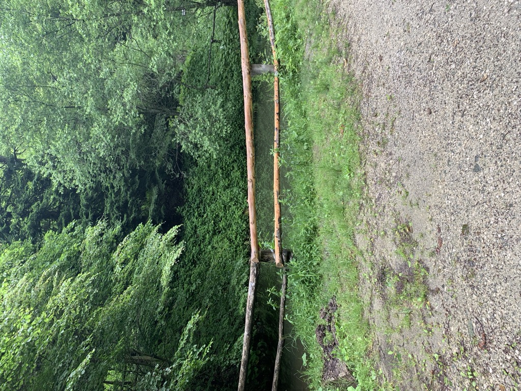 Photo №3 of Tigrovo oko