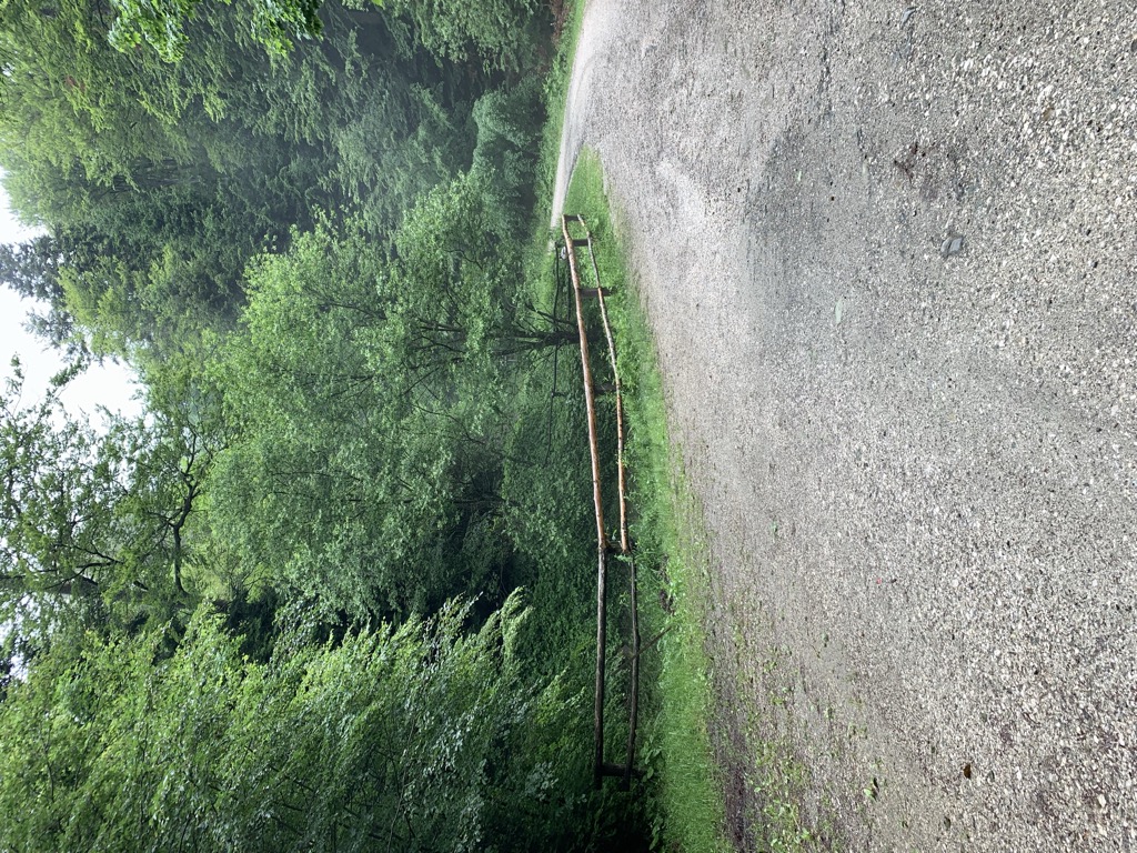 Photo №4 of Tigrovo oko