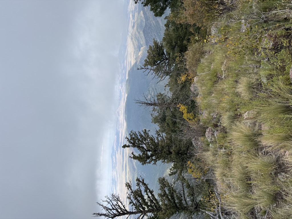 Photo №1 of Timber Peak