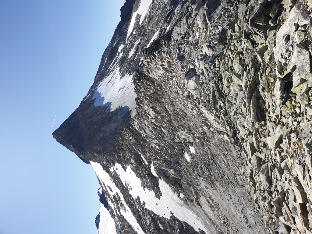 Photo №2 of Tischlerkarkopf