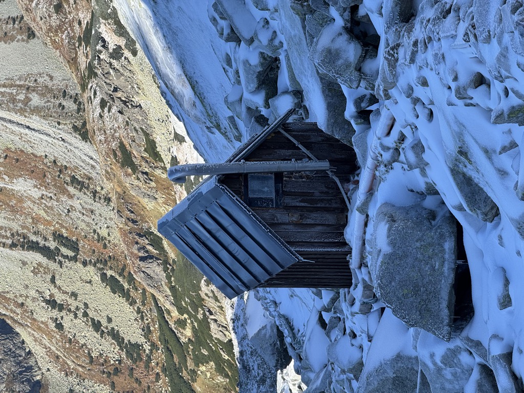 toaleta-wc
