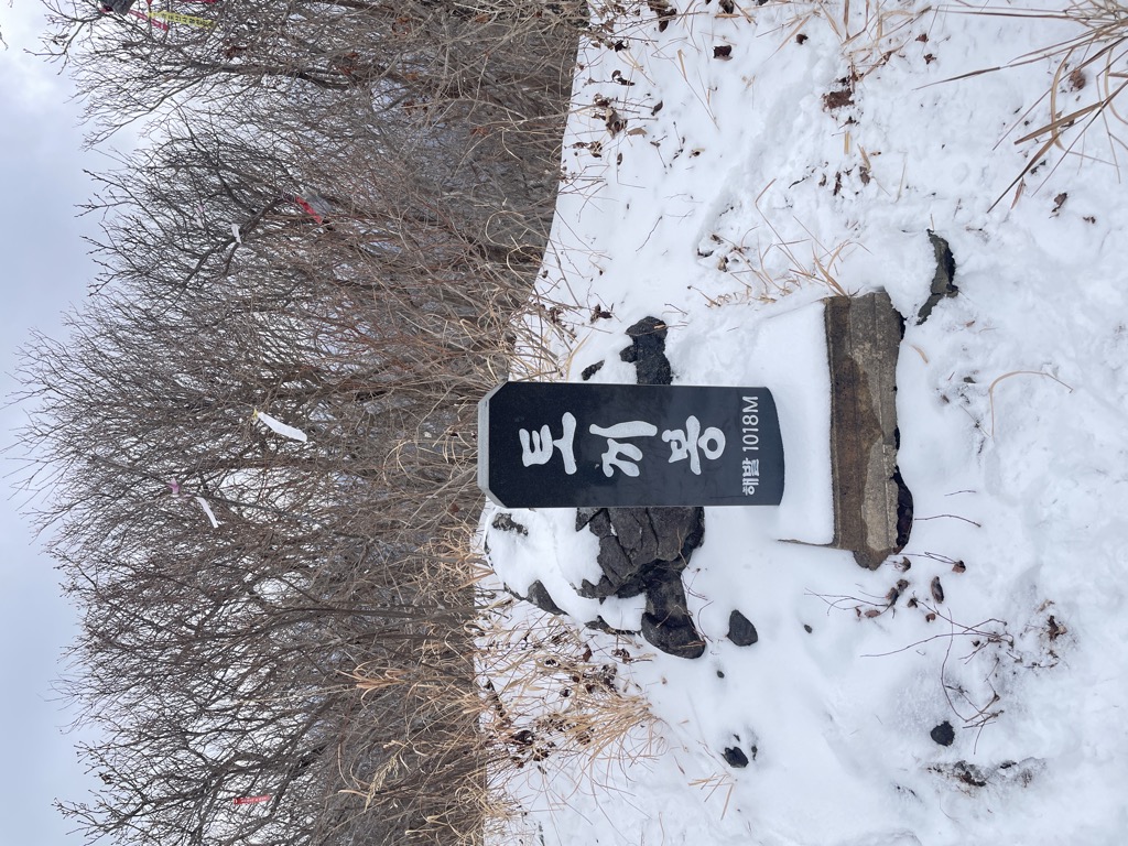 Photo №1 of Toggibong