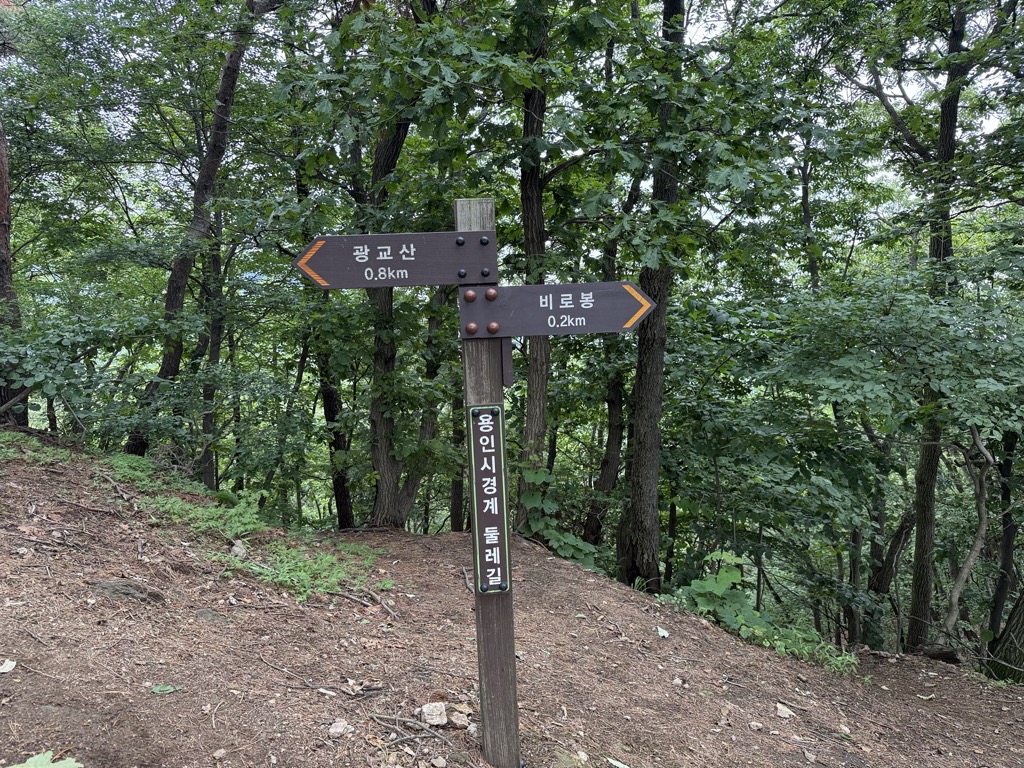 Photo №2 of Toggijae