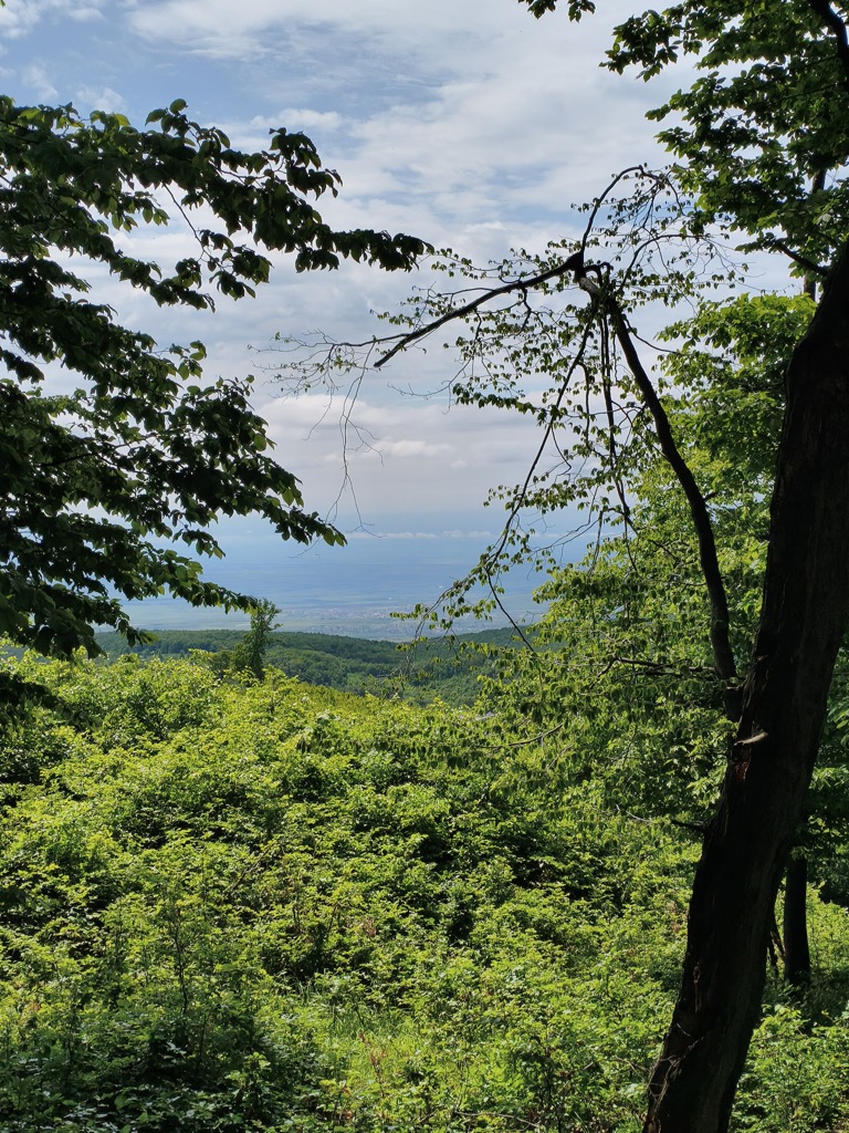 Photo №3 of Tölgyes-bérc