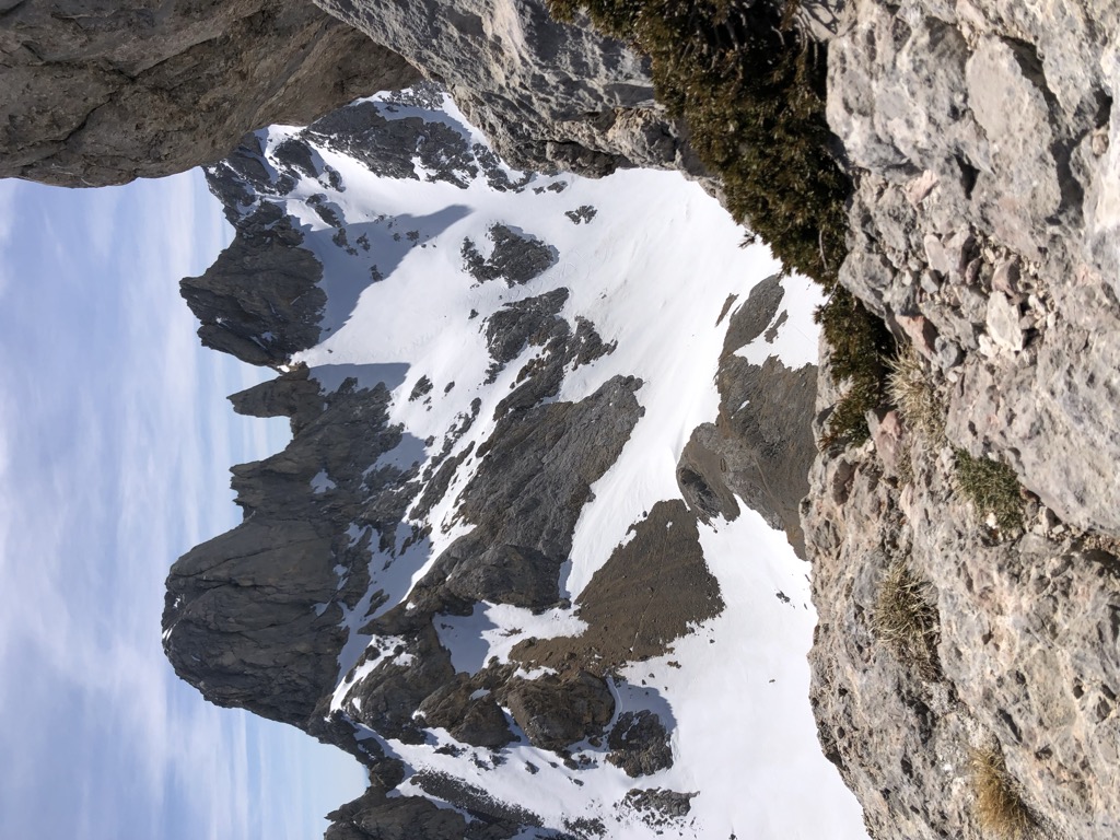 Photo №1 of Torre del Oso