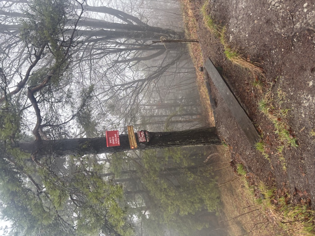 Photo №3 of Tošč