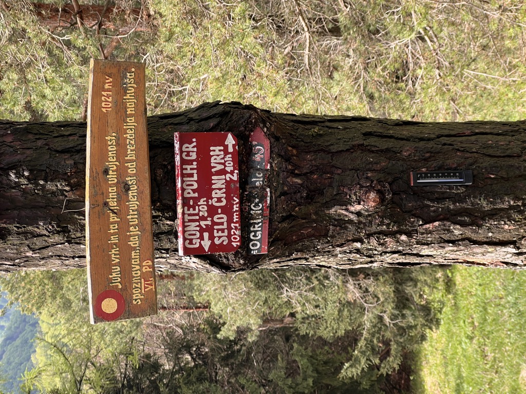 Photo №2 of Tošč