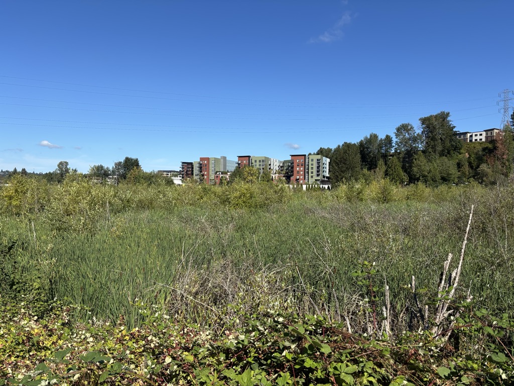 Photo №2 of Totem Lake