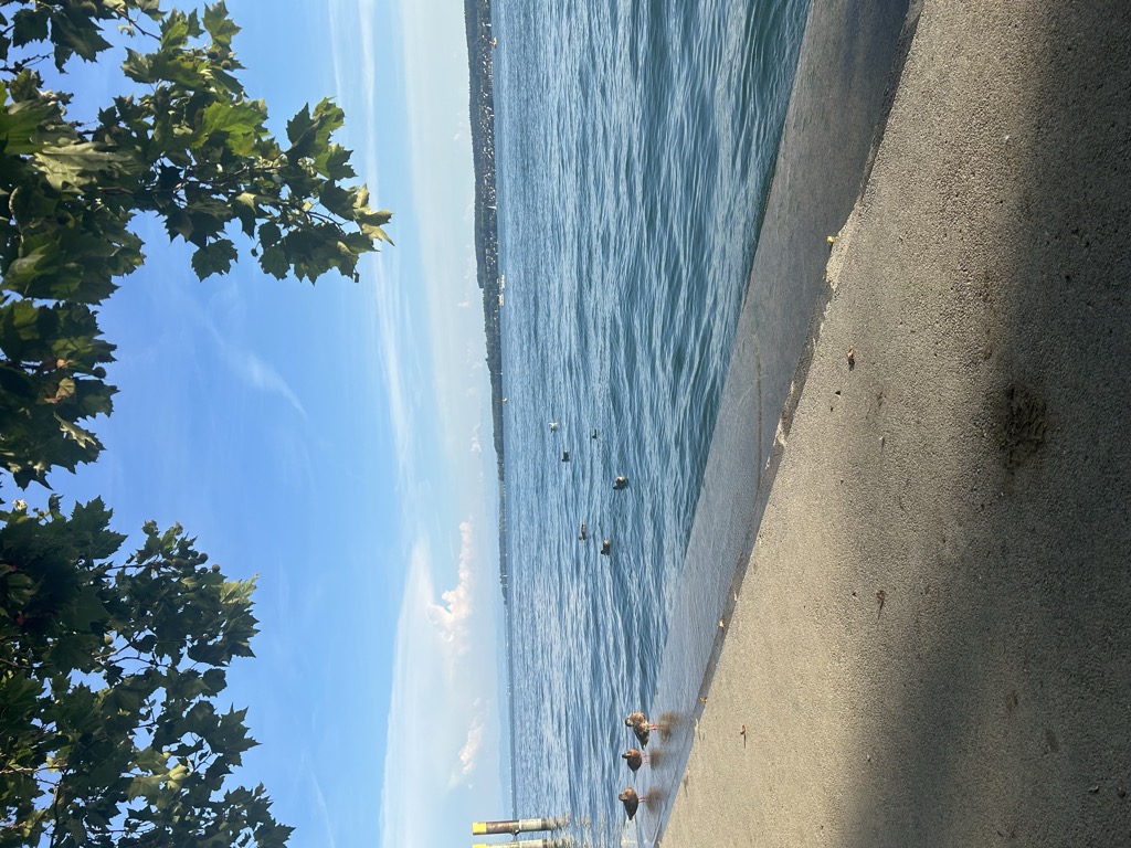 tourist-information-6