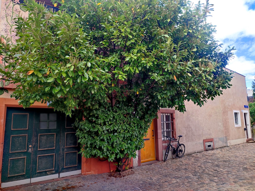 Photo №5 of Tourist Information