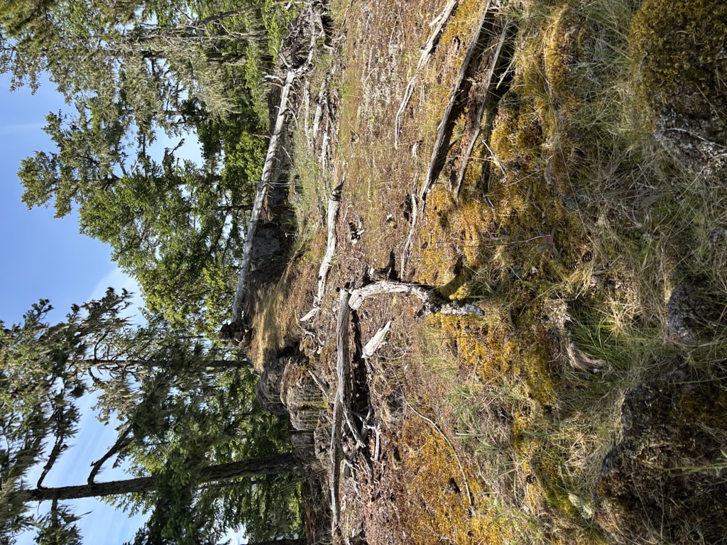 Photo №2 of Trafalgar