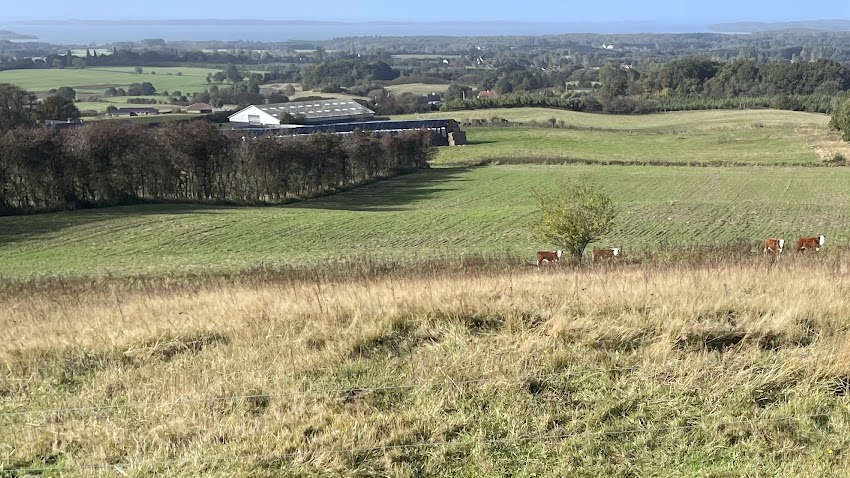 Photo №1 of Trebjerg