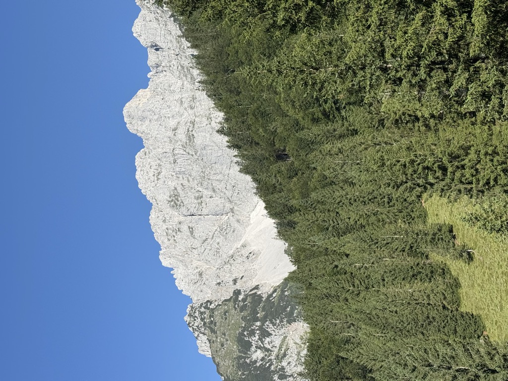 Photo №1 of Treffauer