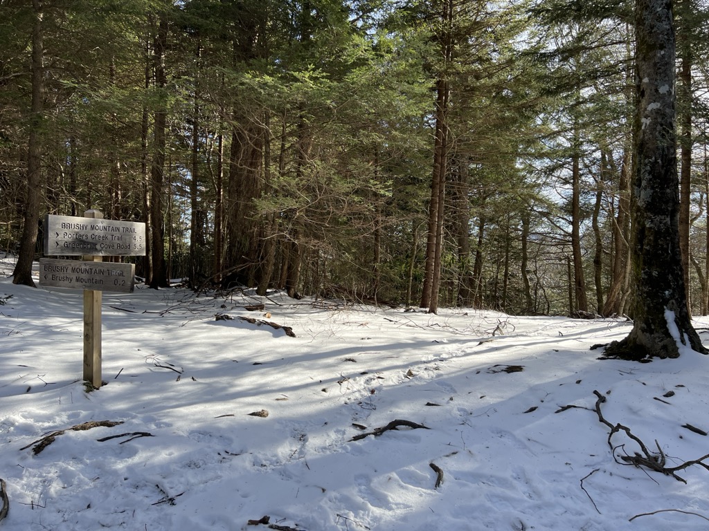Photo №2 of Trillium Gap