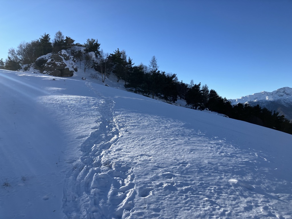 Photo №3 of Truc Giulianera