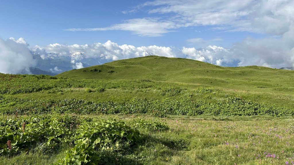 Photo №3 of Tskhakzagari