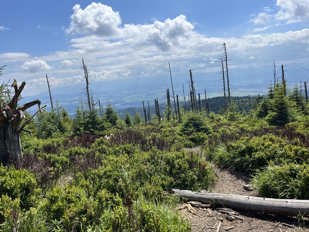 Photo №1 of Turbacz