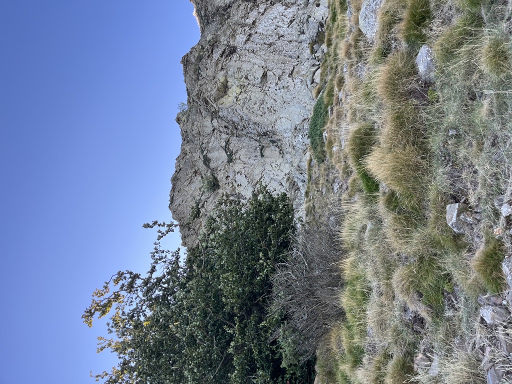 Photo №1 of Turó de l'Home Mort