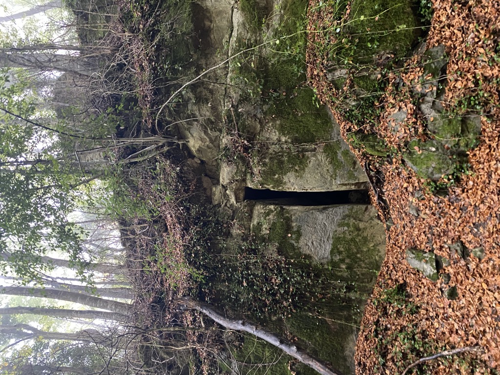 Photo №2 of Turó Gran de Bufadors